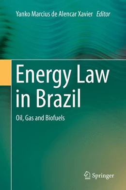 Abbildung von De Alencar Xavier | Energy Law in Brazil | 1. Auflage | 2015 | beck-shop.de