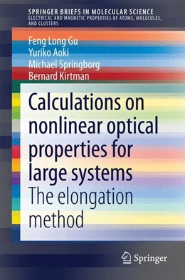 Abbildung von Gu / Aoki | Calculations on nonlinear optical properties for large systems | 1. Auflage | 2014 | beck-shop.de