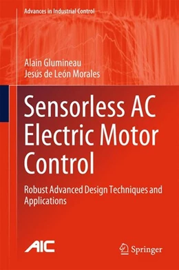 Abbildung von Glumineau / de Leon Morales | Sensorless AC Electric Motor Control | 1. Auflage | 2015 | beck-shop.de
