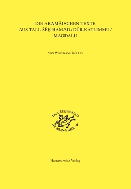 Abbildung von Röllig | Die aramäischen Texte aus Tall Seh Hamad/Dur-Katlimmu/Magdalu | 1. Auflage | 2014 | 17 | beck-shop.de
