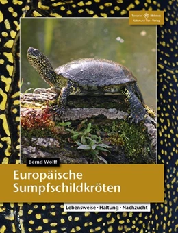 Abbildung von Wolff | Europäische Sumpfschildkröten | 1. Auflage | 2015 | beck-shop.de