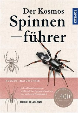 Abbildung von Bellmann | Der Kosmos Spinnenführer | 1. Auflage | 2016 | beck-shop.de