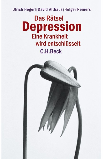 Cover: David Althaus|Holger Reiners|Ulrich Hegerl, Das Rätsel Depression