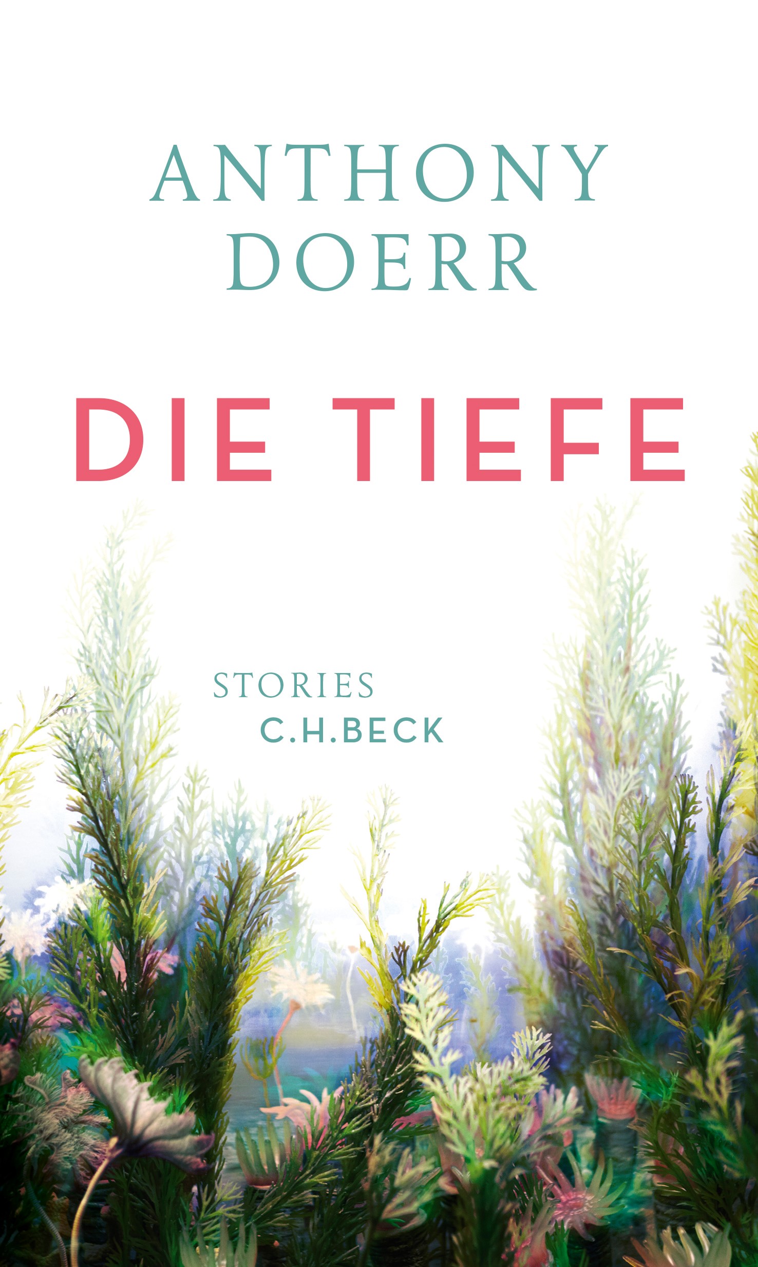 Cover: Doerr, Anthony, Die Tiefe