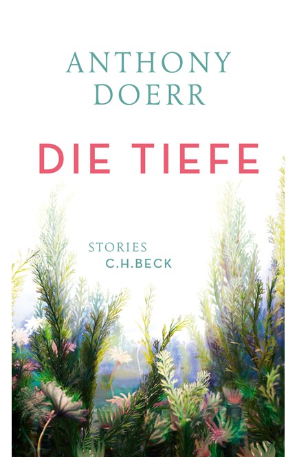 Cover: Anthony Doerr, Die Tiefe