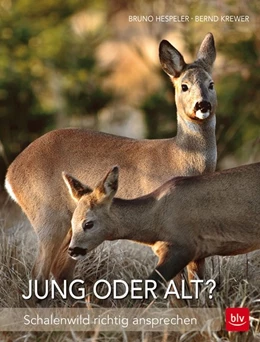 Abbildung von Hespeler / Krewer | Jung oder alt? | 1. Auflage | 2015 | beck-shop.de