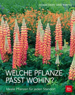 Abbildung von Hagen / Borstell | Welche Pflanze passt wohin? | 1. Auflage | 2016 | beck-shop.de