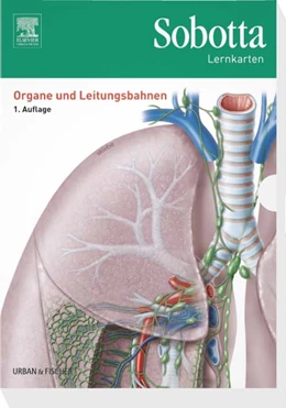 Abbildung von Bräuer | Sobotta Lernkarten Organe und Leitungsbahnen | 1. Auflage | 2016 | beck-shop.de