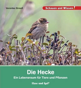 Abbildung von Straaß | Die Hecke | 1. Auflage | 2015 | beck-shop.de