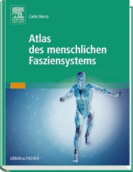 Abbildung von Stecco | Atlas des menschlichen Fasziensystems | 1. Auflage | 2016 | beck-shop.de