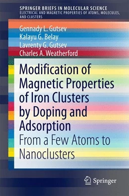 Abbildung von Gutsev / Belay | Modification of Magnetic Properties of Iron Clusters by Doping and Adsorption | 1. Auflage | 2015 | beck-shop.de