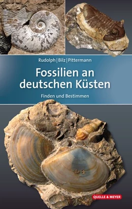 Abbildung von Rudolph / Bilz | Fossilien an deutschen Küsten | 1. Auflage | 2019 | beck-shop.de