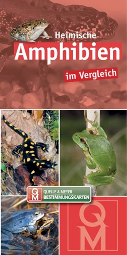 Abbildung von Heimische Amphibien im Vergleich | 1. Auflage | 2016 | beck-shop.de