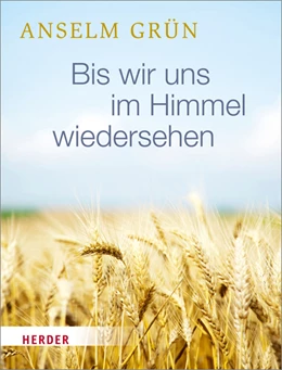 Abbildung von Grün | Bis wir uns im Himmel wiedersehen | 1. Auflage | 2016 | beck-shop.de