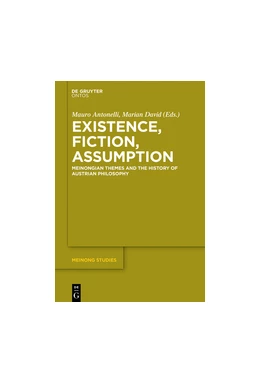 Abbildung von Antonelli / David | Existence, Fiction, Assumption | 1. Auflage | 2016 | beck-shop.de