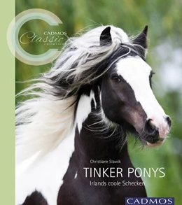 Abbildung von Slawik | Tinker Ponys | 1. Auflage | 2015 | beck-shop.de