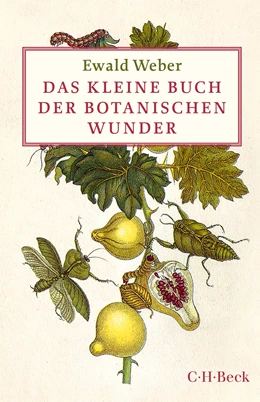 Abbildung von Weber, Ewald | Das kleine Buch der botanischen Wunder | 2. Auflage | 2016 | 6033 | beck-shop.de