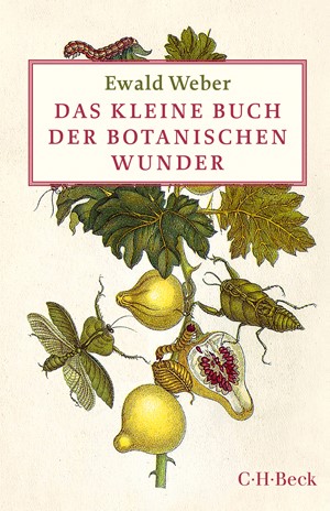 Cover: Ewald Weber, Das kleine Buch der botanischen Wunder