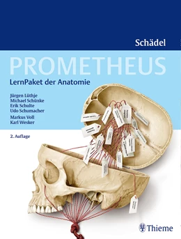 Abbildung von Lüthje / Schulte | PROMETHEUS LernPaket Anatomie • Schädel | 2. Auflage | 2016 | beck-shop.de