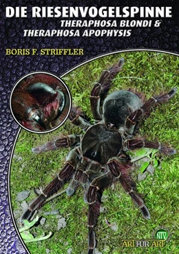 Abbildung von Striffler | Riesenvogelspinnen | 1. Auflage | 2006 | beck-shop.de