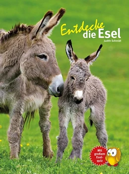 Abbildung von Schmidt | Entdecke die Esel | 1. Auflage | 2017 | beck-shop.de