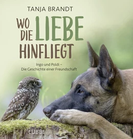 Abbildung von Brandt | Wo die Liebe hinfliegt | 1. Auflage | 2016 | beck-shop.de