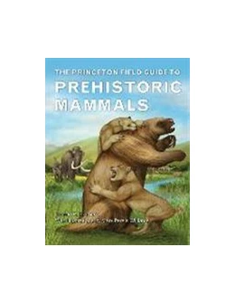 Abbildung von Prothero | Princeton Field Guide to Prehistoric Mammals | 1. Auflage | 2017 | beck-shop.de