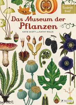Abbildung von Scott / Willis | Das Museum der Pflanzen | 1. Auflage | 2016 | beck-shop.de