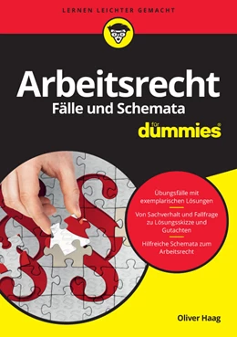 Abbildung von Haag | Arbeitsrecht Fälle und Schemata für Dummies | 1. Auflage | 2016 | beck-shop.de