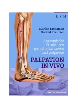 Abbildung von Laekeman / Kreutzer | Palpation in Vivo | 2. Auflage | 2016 | beck-shop.de
