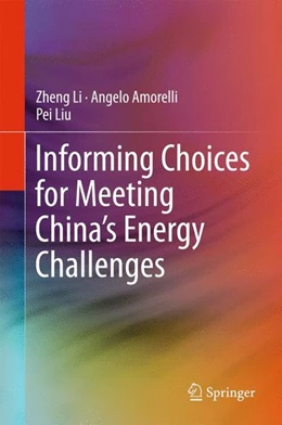 Abbildung von Li / Amorelli | Informing Choices for Meeting China's Energy Challenges | 1. Auflage | 2016 | beck-shop.de