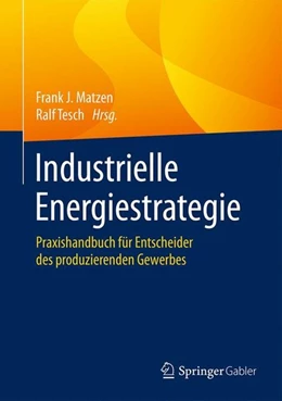 Abbildung von Matzen / Tesch | Industrielle Energiestrategie | 1. Auflage | 2016 | beck-shop.de