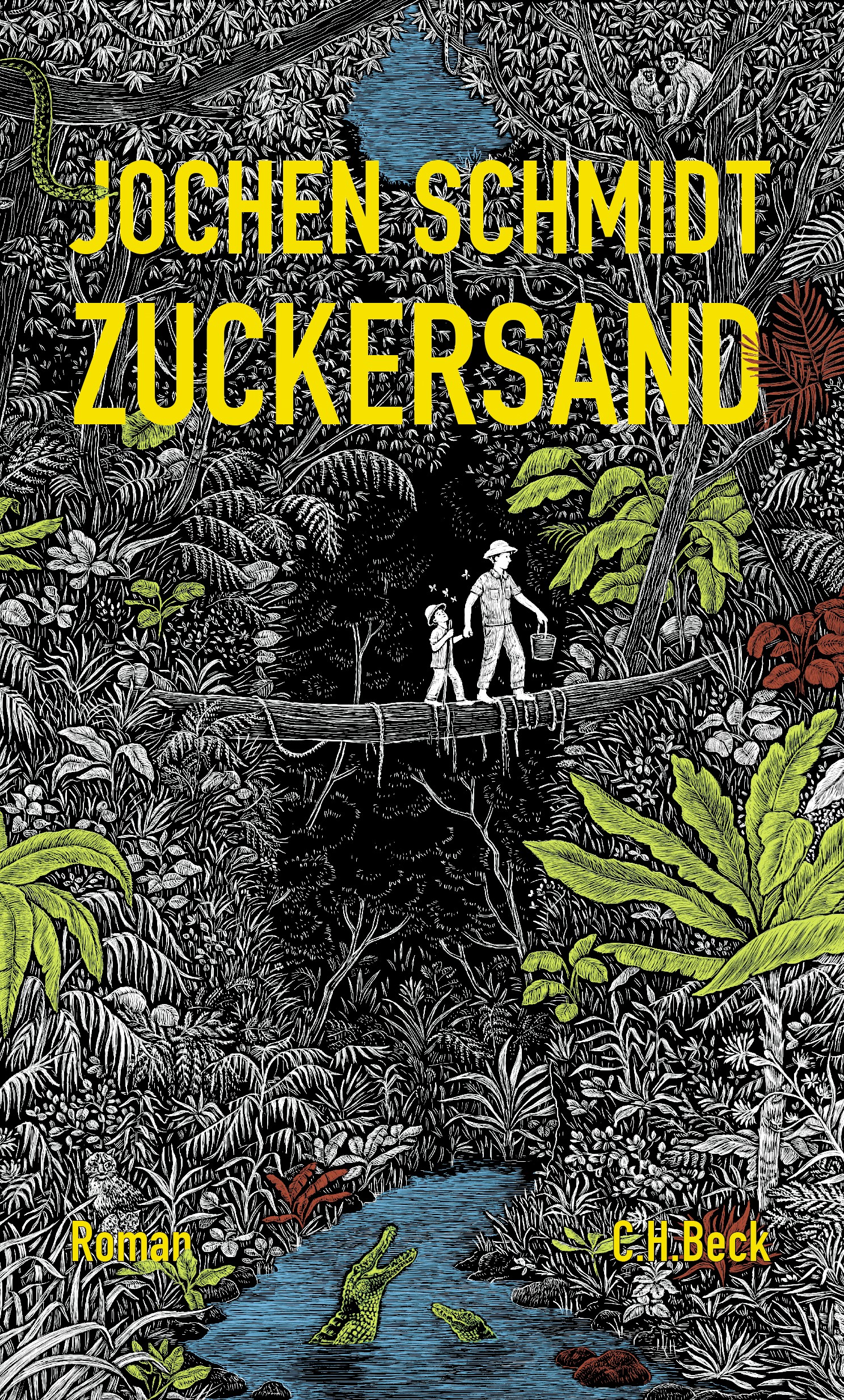 Cover: Schmidt, Jochen, Zuckersand