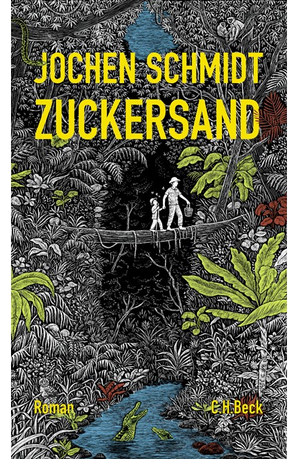 Cover: Jochen Schmidt, Zuckersand