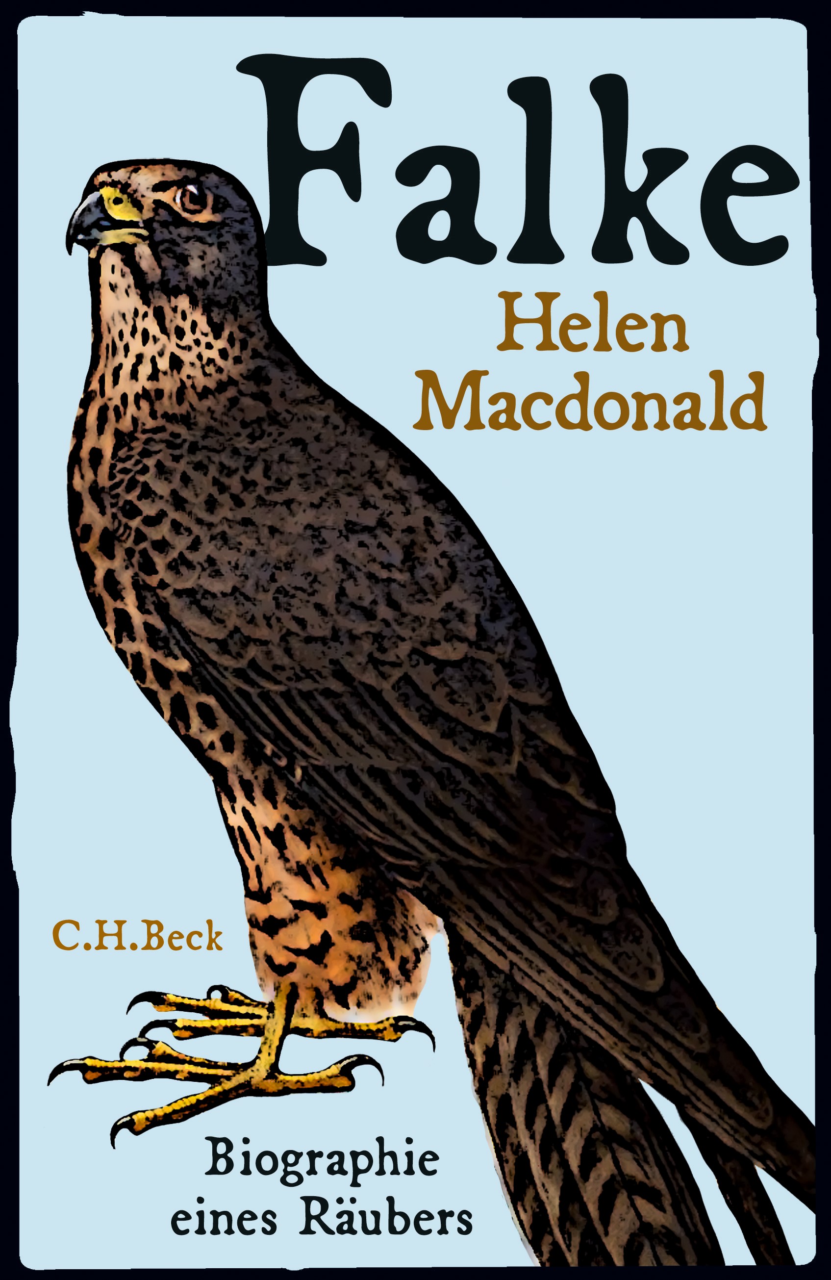 Cover: Macdonald, Helen, Falke