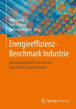 Abbildung von Lässig / Schütte | Energieeffizienz-Benchmark Industrie | 1. Auflage | 2016 | beck-shop.de