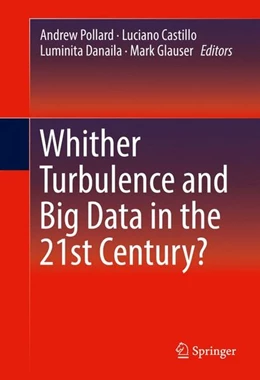 Abbildung von Pollard / Castillo | Whither Turbulence and Big Data in the 21st Century? | 1. Auflage | 2016 | beck-shop.de