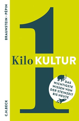 Cover: Braunstein, Florence / Pépin, Jean-François, 1 Kilo Kultur