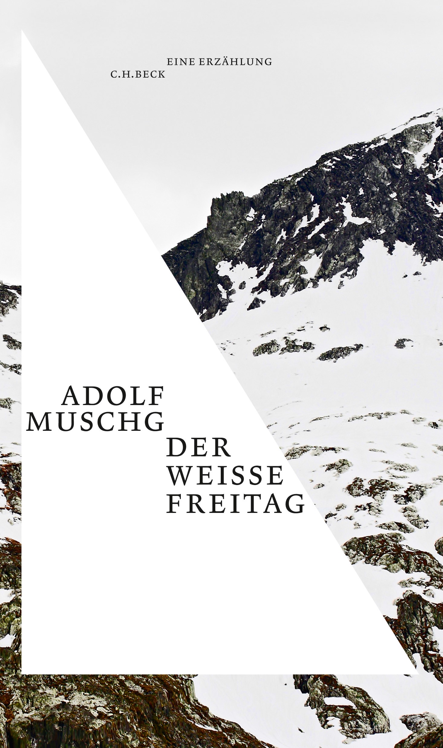Cover: Muschg, Adolf, Der weiße Freitag