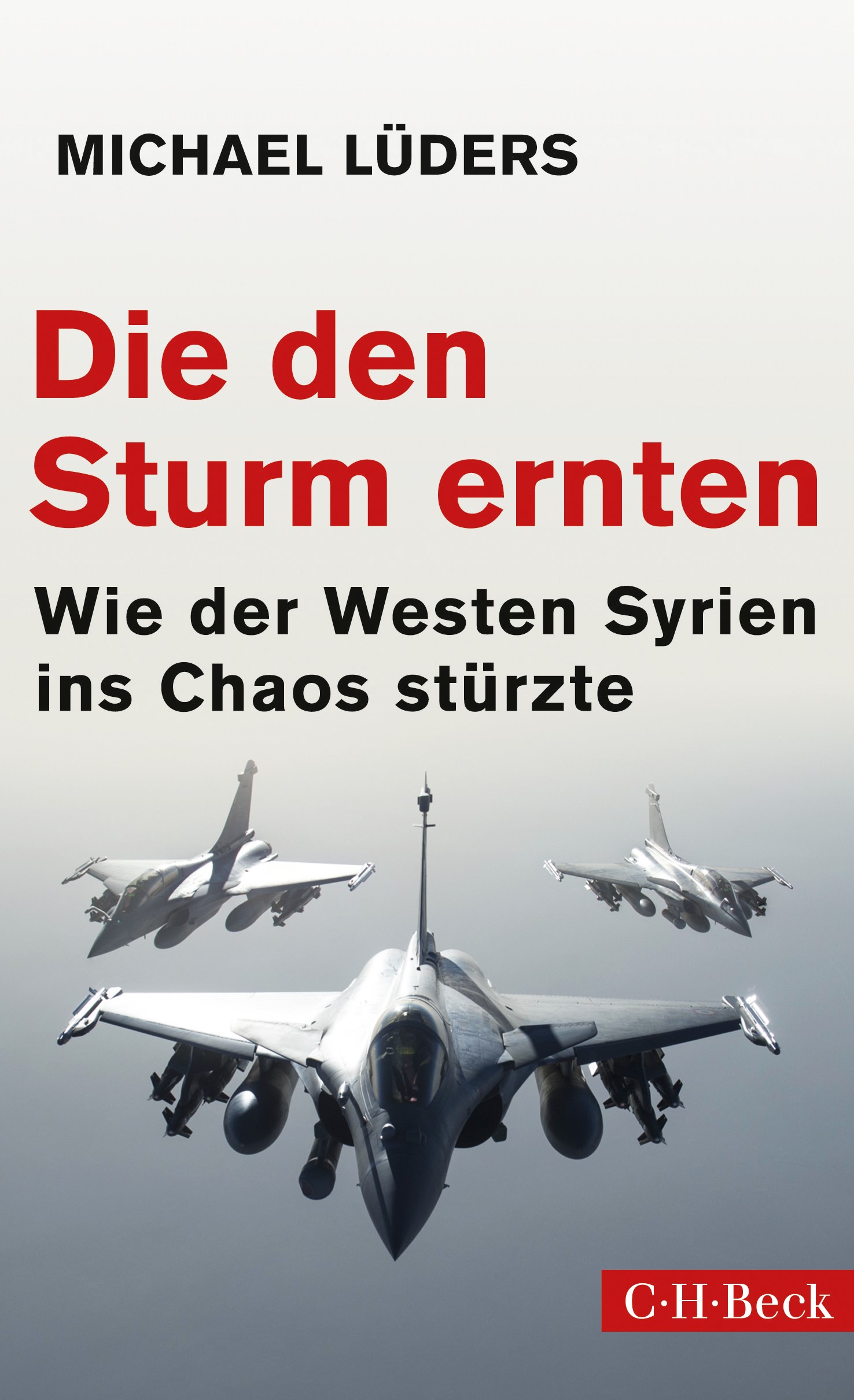 Cover: Lüders, Michael, Die den Sturm ernten