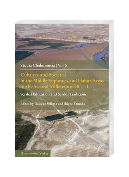 Abbildung von Shibata / Yamada | Cultures and Societies in the Middle Euphrates and Habur Areas in the Second Millennium BC - I | 1. Auflage | 2016 | beck-shop.de