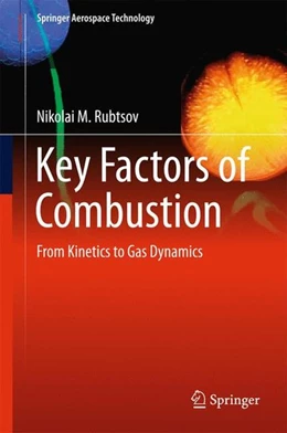 Abbildung von Rubtsov | Key Factors of Combustion | 1. Auflage | 2016 | beck-shop.de