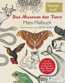 Abbildung von Scott | Das Museum der Tiere. Mein Malbuch | 1. Auflage | 2017 | beck-shop.de