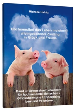 Abbildung von Haintz | Hochsensibel das Leben meistern - alleingeborener Zwilling in Glück und Freude | 1. Auflage | 2016 | beck-shop.de