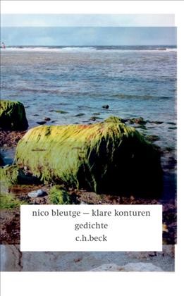 Cover: Bleutge, Nico, Klare Konturen