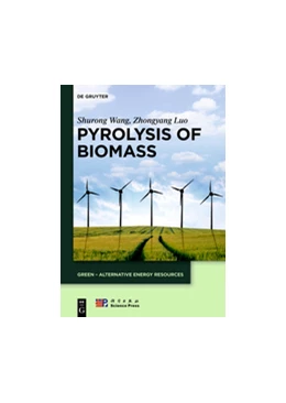 Abbildung von Wang / Luo | Pyrolysis of Biomass | 1. Auflage | 2016 | beck-shop.de