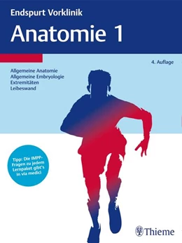 Abbildung von Endspurt Vorklinik: Anatomie 1 | 4. Auflage | 2017 | beck-shop.de