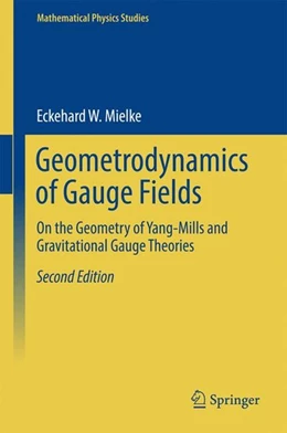 Abbildung von Mielke | Geometrodynamics of Gauge Fields | 2. Auflage | 2017 | beck-shop.de