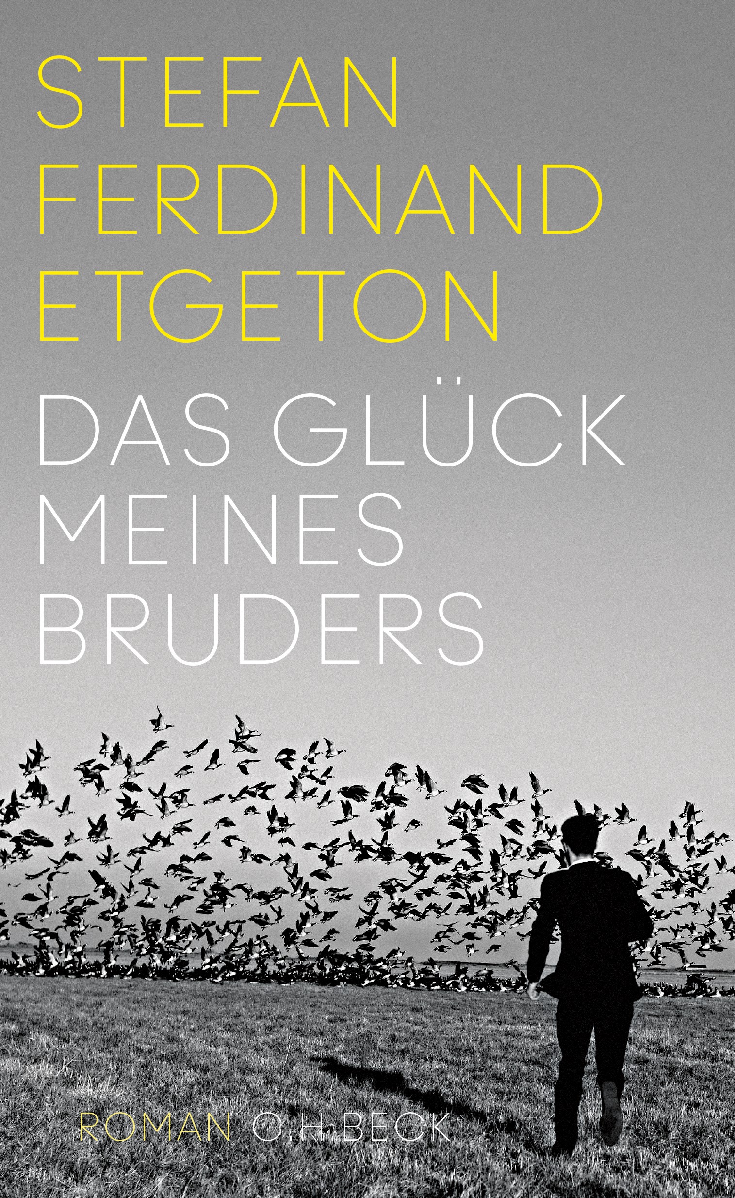 Cover: Etgeton, Stefan Ferdinand, Das Glück meines Bruders