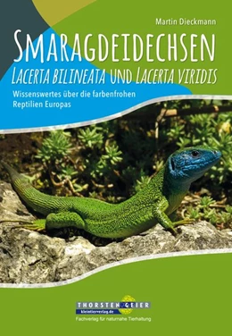 Abbildung von Dieckmann | Smaragdeidechsen Lacerta bilineata und Lacerta viridis | 1. Auflage | 2017 | beck-shop.de